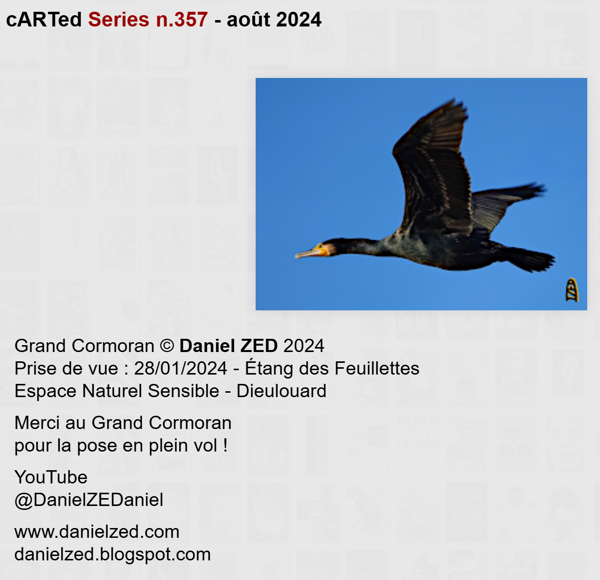 Carted DZ 79
